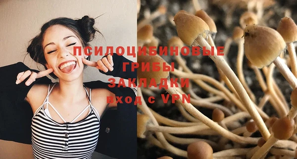 2c-b Липки
