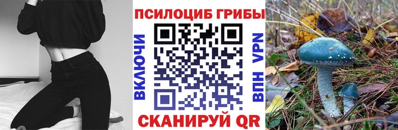 что такое наркотик  Прокопьевск  Галлюциногенные грибы GOLDEN TEACHER 